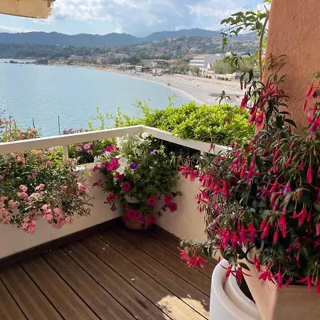 Rousse Les Pieds Dans L'eau LʼÎle-Rousse