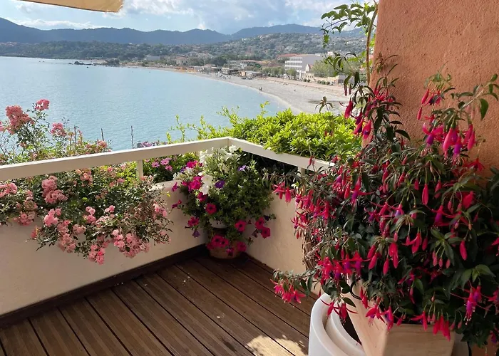 Rousse Les Pieds Dans L'eau LʼÎle-Rousse